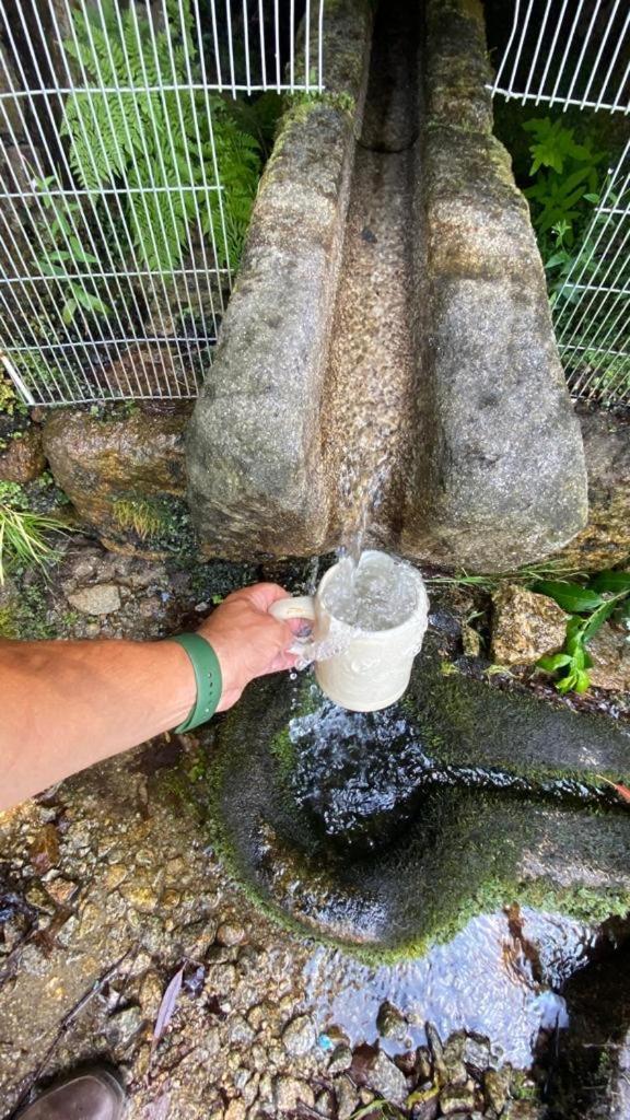 Quinta Dos Amores Ponte de Lima Zewnętrze zdjęcie