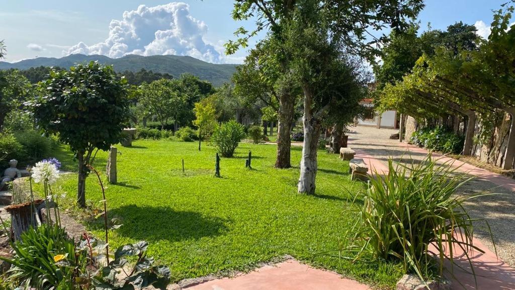 Quinta Dos Amores Ponte de Lima Zewnętrze zdjęcie